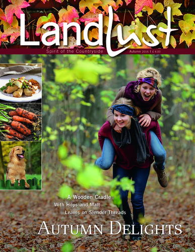 132 pages of autumn delights