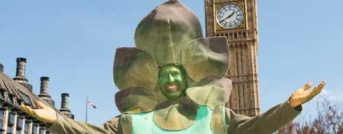 Gus The Asparagus Man Off to EU