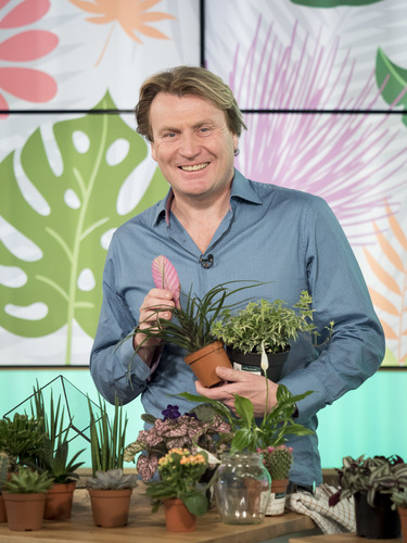 David Domoney, TV gardener