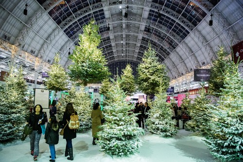 Ideal Home Show at Christmas trees