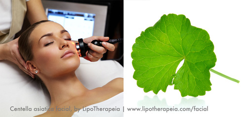 Centella asiatica facial @ LipoTherapeia