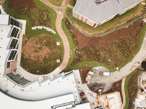 Aerial View of Wildflower Landscaping