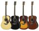 LL6 ARE acoustic guitars 