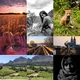 The most viewed photos of 2021