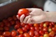 Mutti tomato being held in chef hand