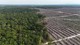 Partially deforested landscape