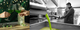 Olive oil cold extraction in Tuscany  
