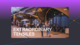 New sit allows better site navigation