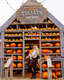 Tulleys Pumpkin Festival 
