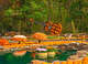 Tulleys Pumpkin Festival 