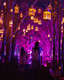 Love Lane - Tulleys Christmas Lights