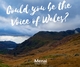 Do you have the voice of Wales?